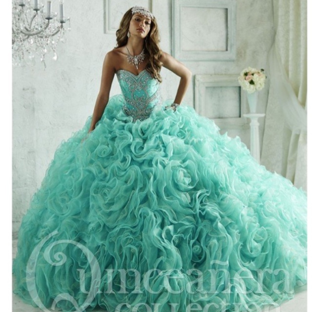 Gorgeous House of Wu Quinceañera/ball gown